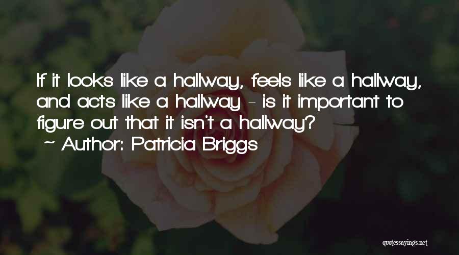 Appearances Can Be Deceiving Quotes By Patricia Briggs