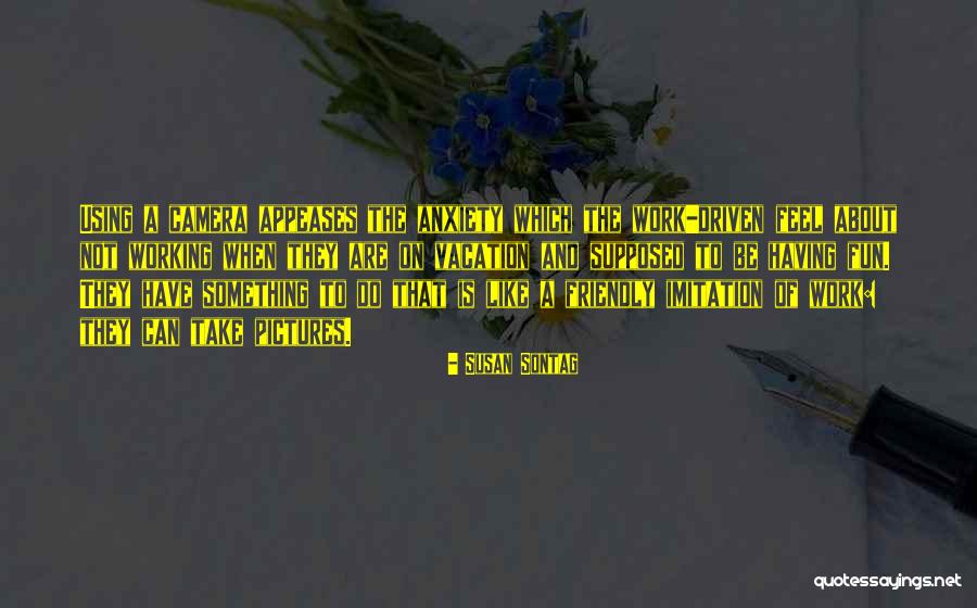 Appeases Me Quotes By Susan Sontag