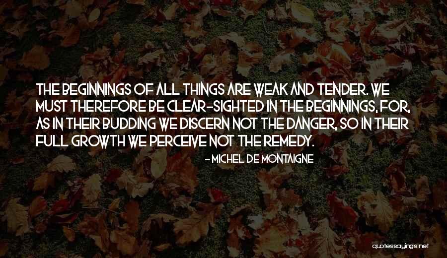 Apperceive Quotes By Michel De Montaigne Apperceive Quotes By Michel De Montaigne