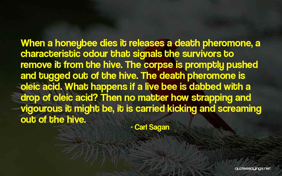 Appesar Quotes By Carl Sagan Appesar Quotes By Carl Sagan