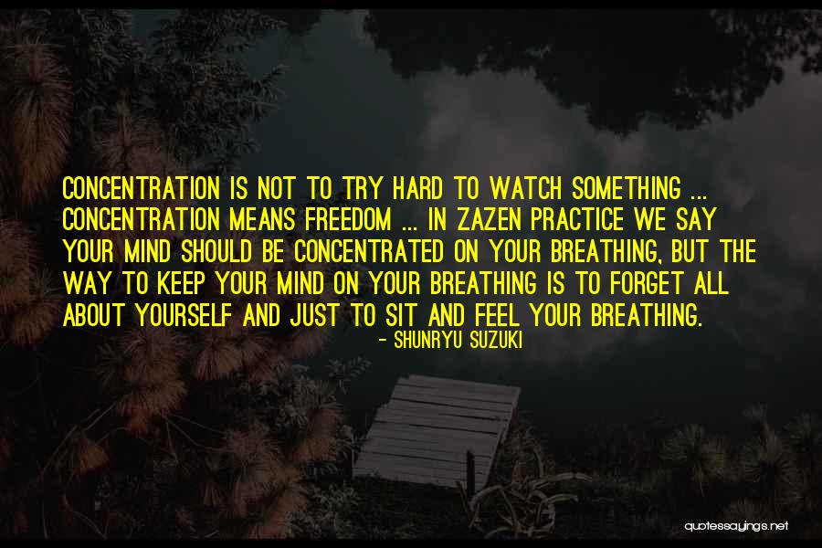 Appetency Quotes By Shunryu Suzuki Appetency Quotes By Shunryu Suzuki