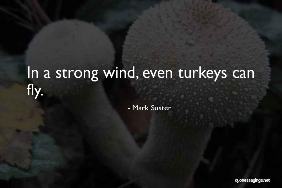 Apphia And Archippus Quotes By Mark Suster Apphia And Archippus Quotes By Mark Suster