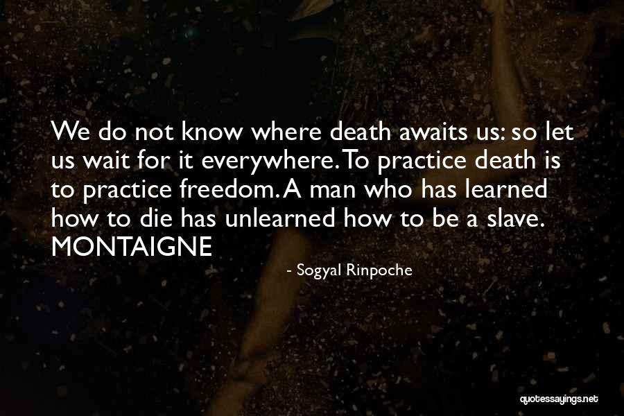 Appius Livius Quotes By Sogyal Rinpoche Appius Livius Quotes By Sogyal Rinpoche