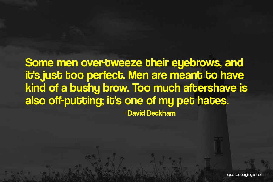 Applauden Quotes By David Beckham