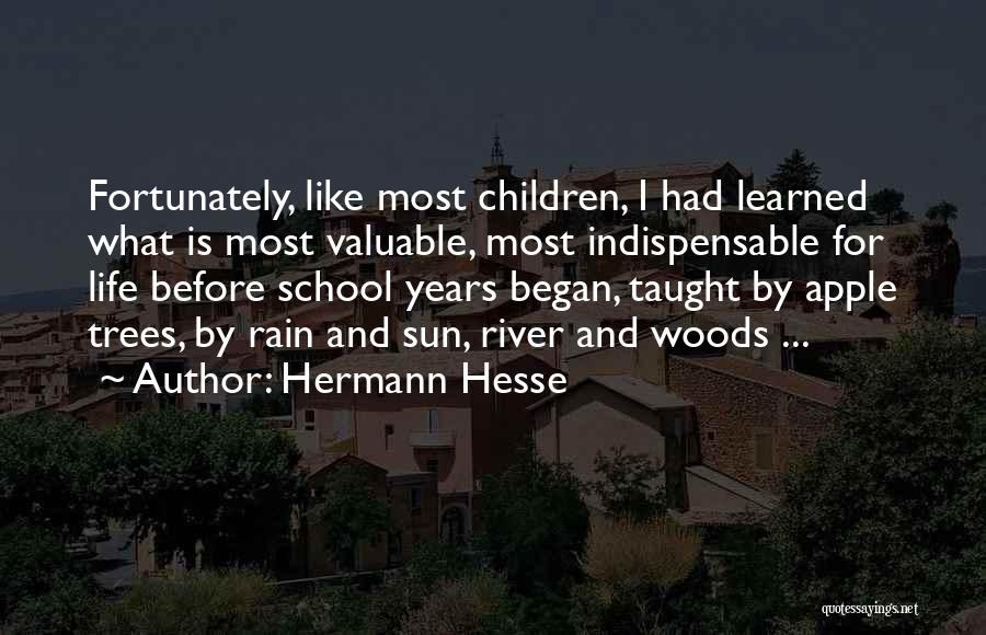 Apple And Rain Quotes By Hermann Hesse