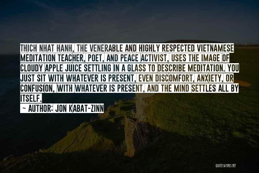 Apple And Teacher Quotes By Jon Kabat-Zinn