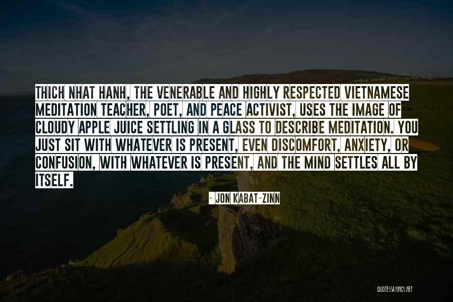 Apple And Teacher Quotes By Jon Kabat-Zinn