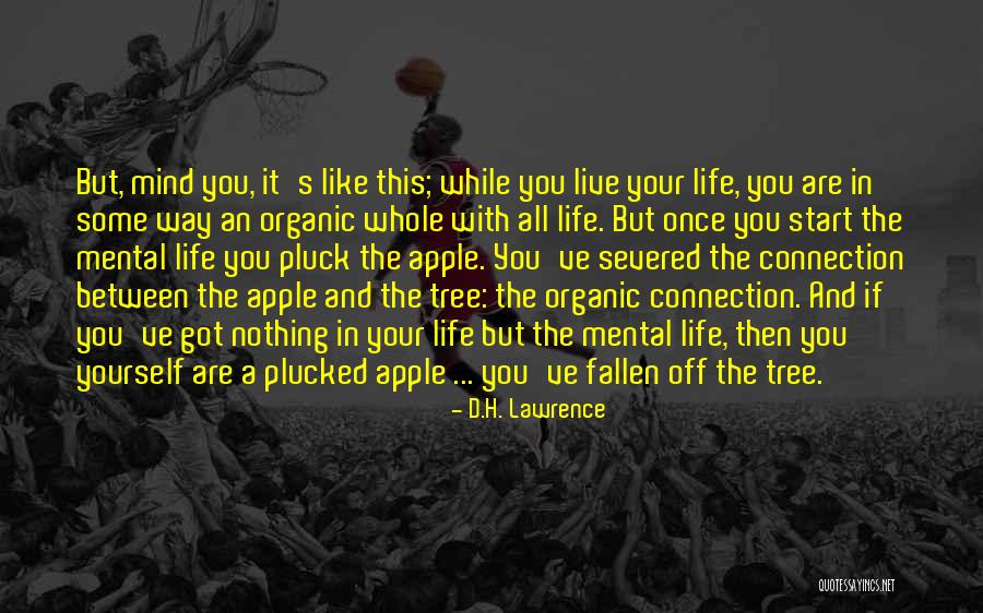 Apple And Tree Quotes By D.H. Lawrence