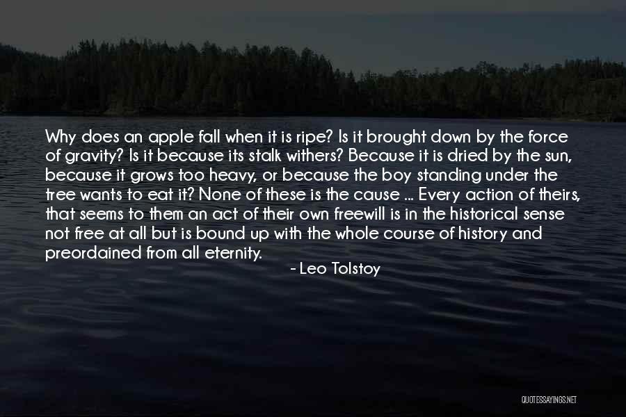 Apple And Tree Quotes By Leo Tolstoy