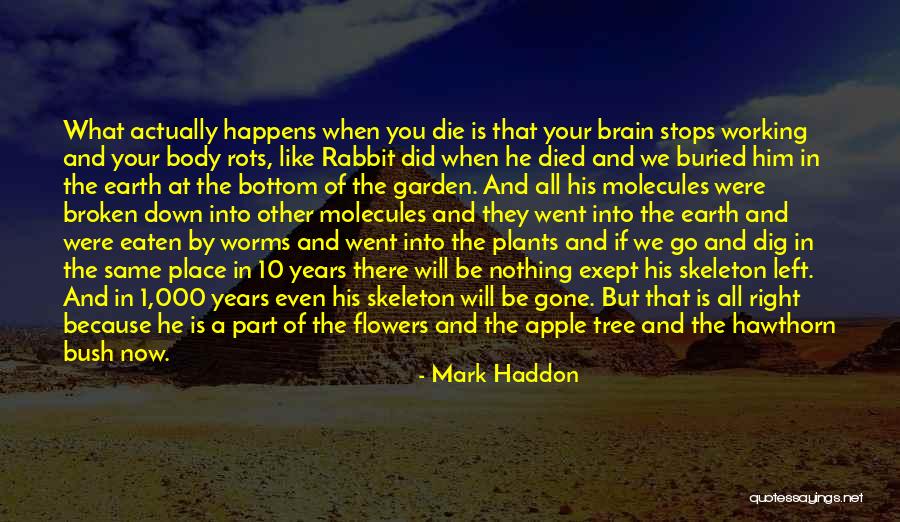 Apple And Tree Quotes By Mark Haddon