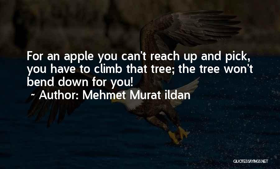 Apple And Tree Quotes By Mehmet Murat Ildan