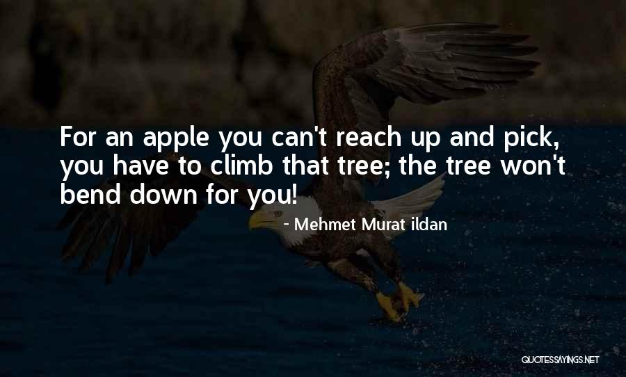 Apple And Tree Quotes By Mehmet Murat Ildan