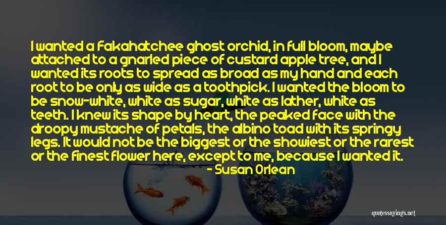 Apple And Tree Quotes By Susan Orlean