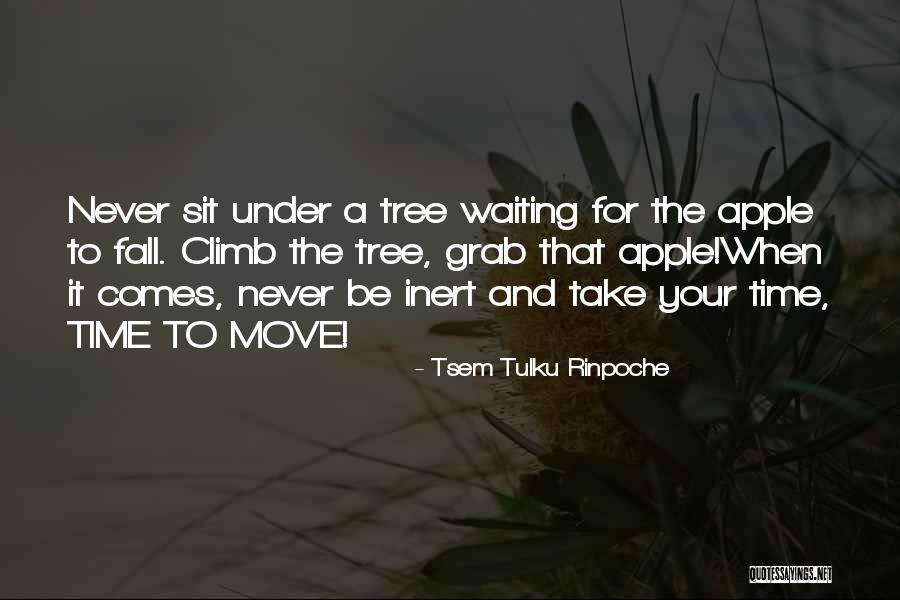 Apple And Tree Quotes By Tsem Tulku Rinpoche