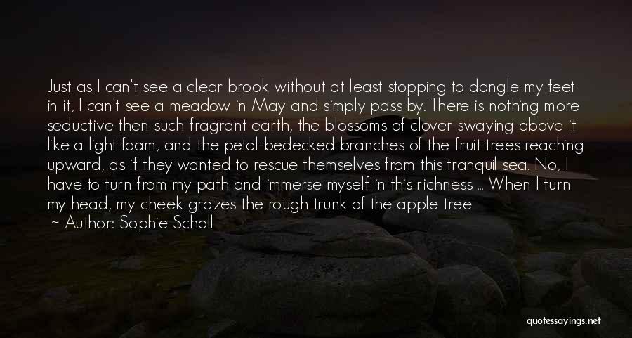 Apple Blossoms Quotes By Sophie Scholl