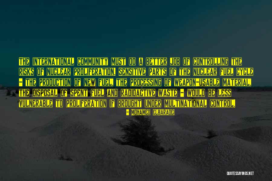 Apple Dumplings Quotes By Mohamed ElBaradei Apple Dumplings Quotes By Mohamed ElBaradei