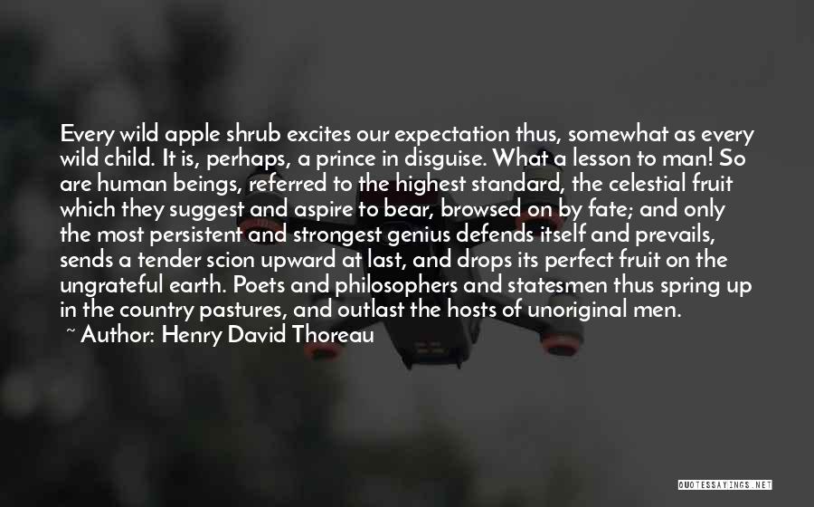 Apple Fruit Quotes By Henry David Thoreau