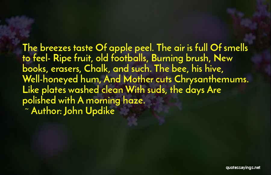 Apple Fruit Quotes By John Updike