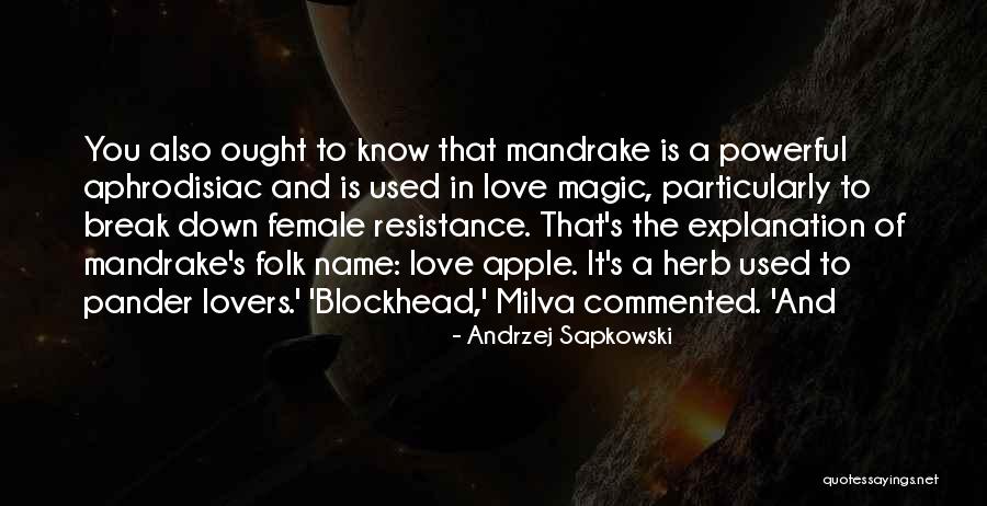 Apple Lovers Quotes By Andrzej Sapkowski