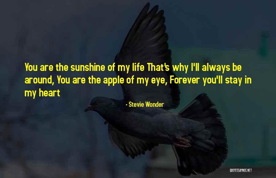 Apple Of My Eye Quotes By Stevie Wonder