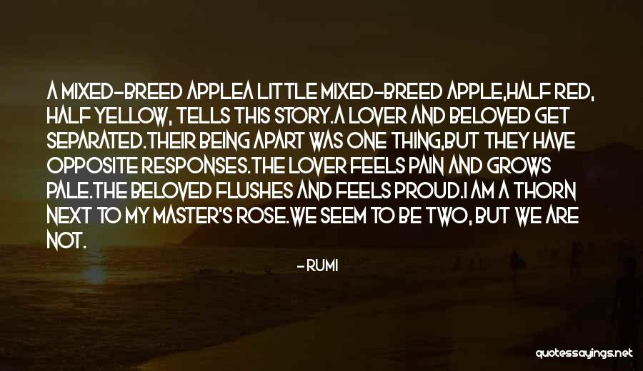 Apple Quotes By Rumi