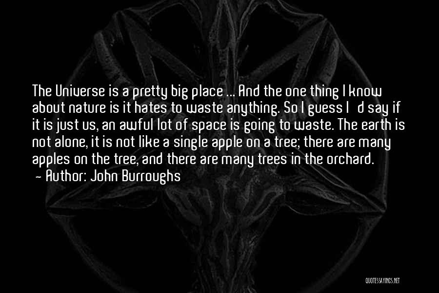 Apple Trees Quotes By John Burroughs