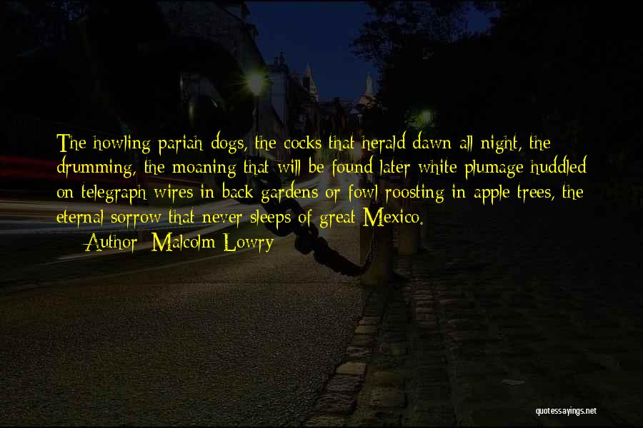 Apple Trees Quotes By Malcolm Lowry