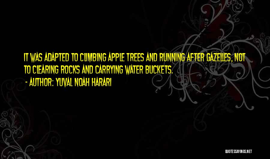 Apple Trees Quotes By Yuval Noah Harari