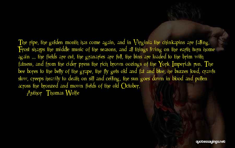 Apples And Autumn Quotes By Thomas Wolfe