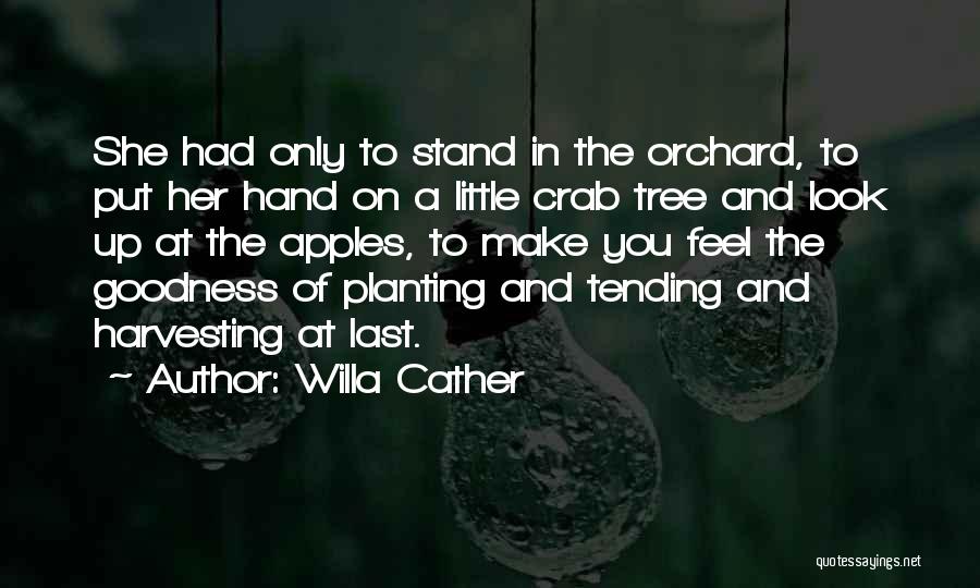 Apples And Autumn Quotes By Willa Cather