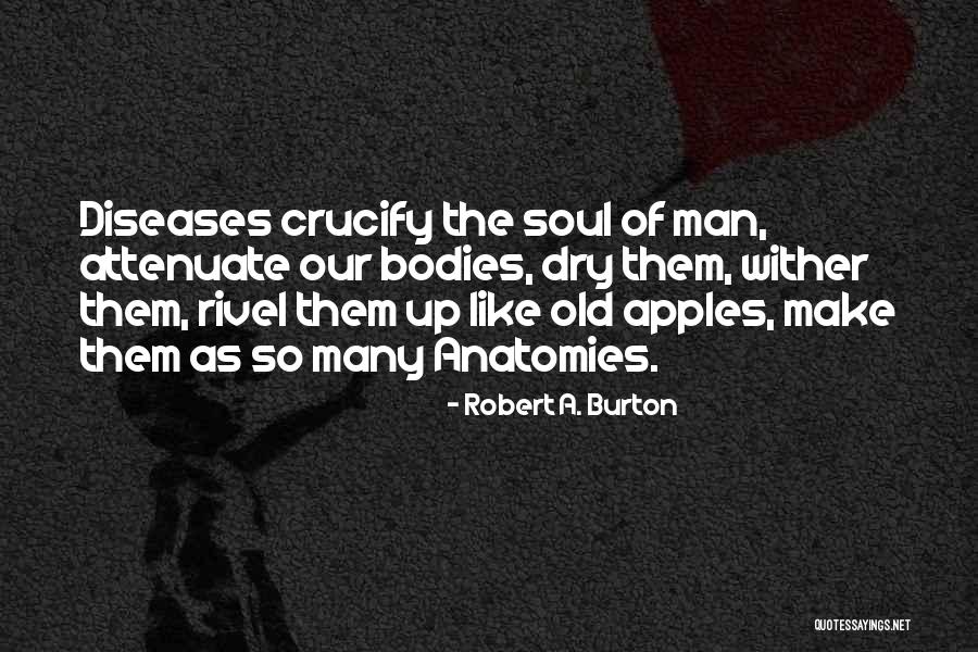 Apples And Health Quotes By Robert A. Burton