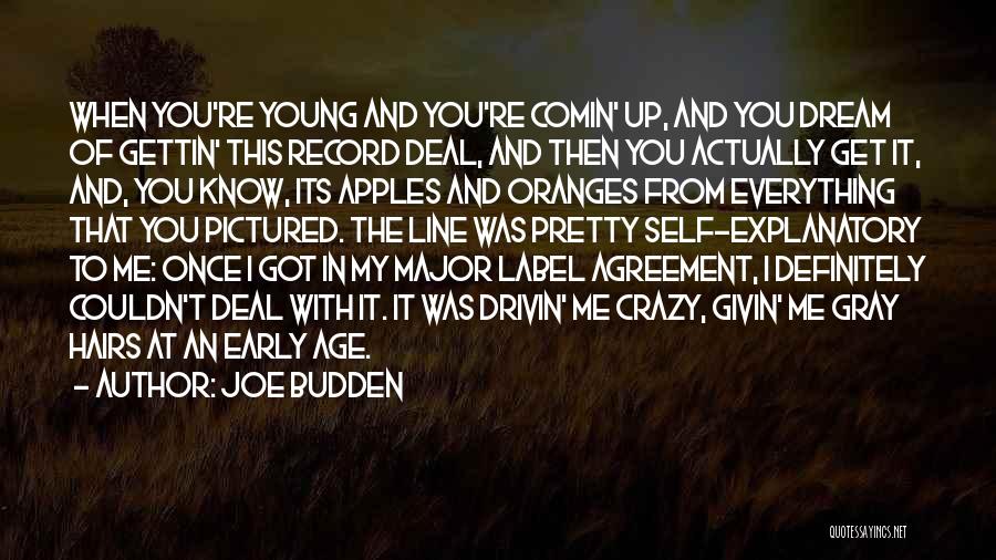 Apples And Oranges Quotes By Joe Budden