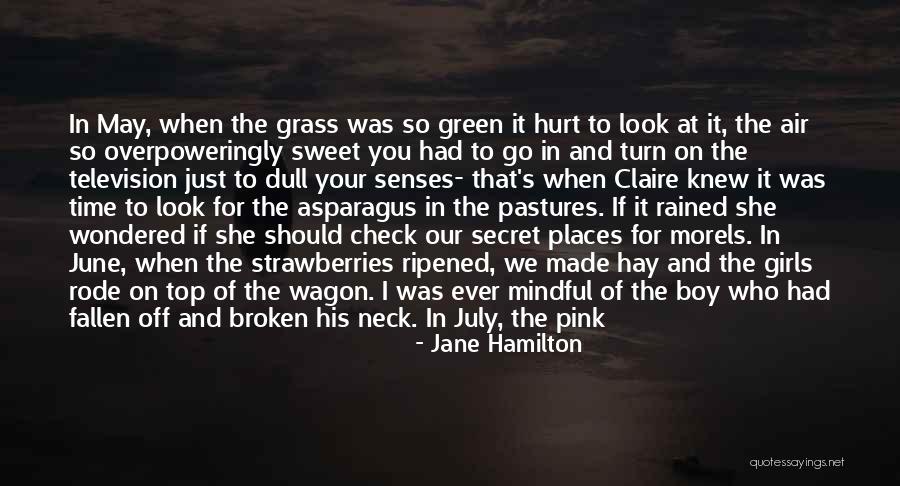 Apples And Pears Quotes By Jane Hamilton