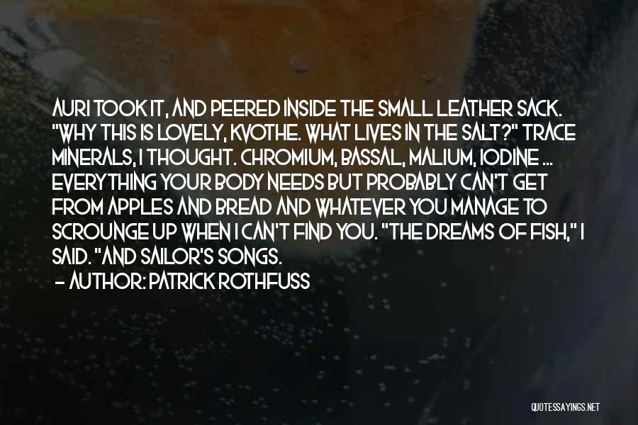 Apples Quotes By Patrick Rothfuss