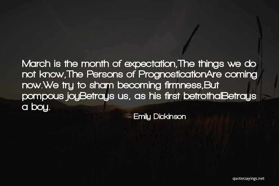 Applicantstarter Quotes By Emily Dickinson Applicantstarter Quotes By Emily Dickinson