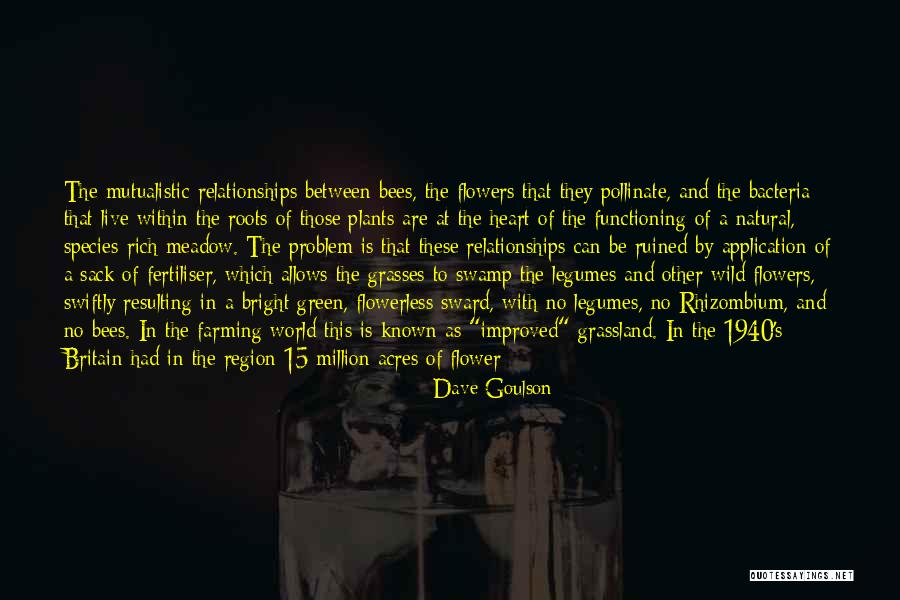 Application That Allows Quotes By Dave Goulson Application That Allows Quotes By Dave Goulson