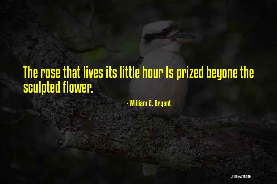 Applicator Kuznetsova Quotes By William C. Bryant Applicator Kuznetsova Quotes By William C. Bryant