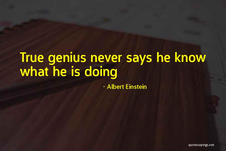 Appliques For Clothing Quotes By Albert Einstein Appliques For Clothing Quotes By Albert Einstein
