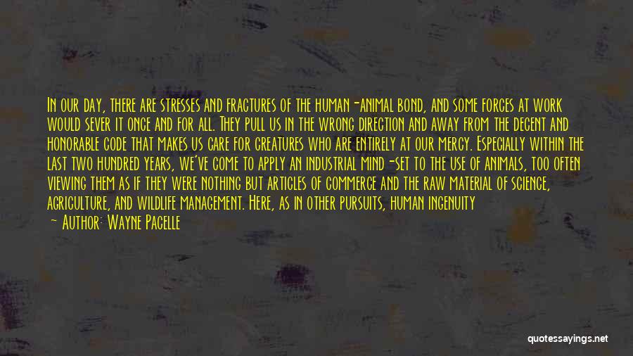 Apply Work Quotes By Wayne Pacelle