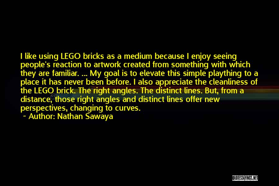 Appreciate And Enjoy Quotes By Nathan Sawaya