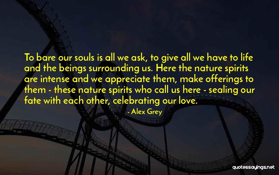 Appreciate Each Other Quotes By Alex Grey