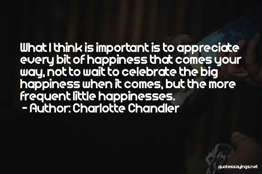 Appreciate Every Little Thing Quotes By Charlotte Chandler