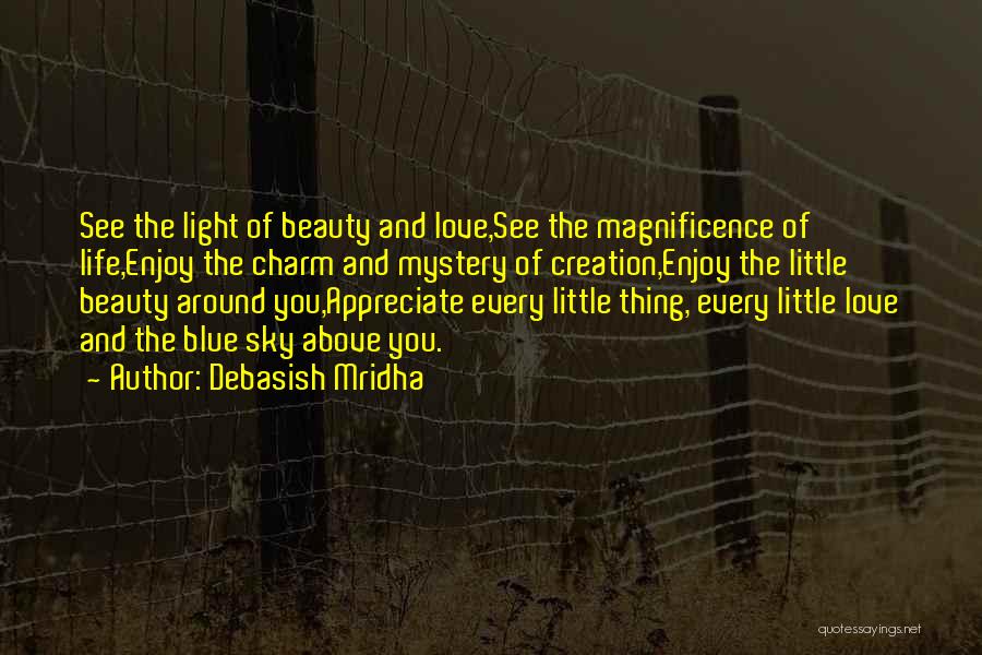 Appreciate Every Little Thing Quotes By Debasish Mridha