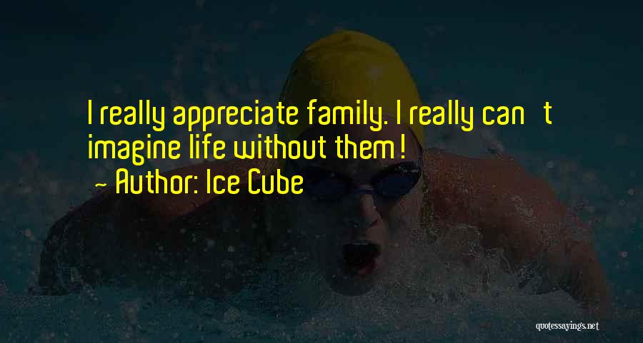 Appreciate Family Quotes By Ice Cube