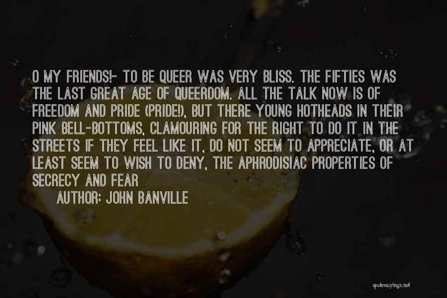 Appreciate Friends Quotes By John Banville