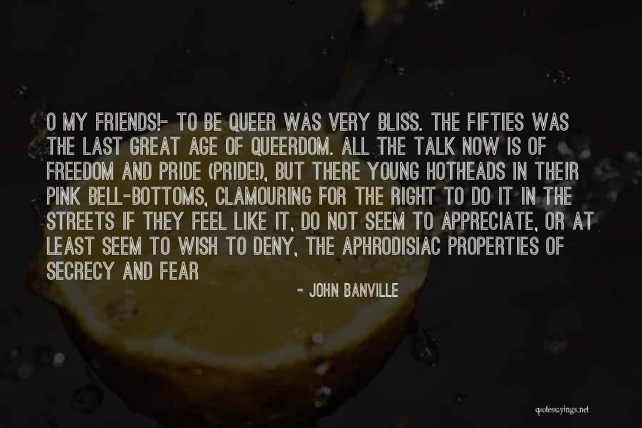 Appreciate Friends Quotes By John Banville