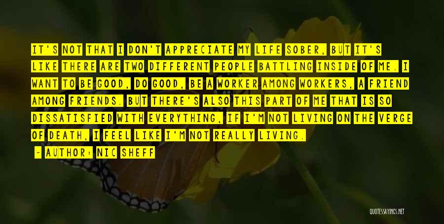 Appreciate Good Things Life Quotes By Nic Sheff