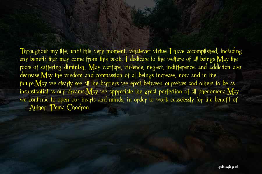 Appreciate Others Quotes By Pema Chodron