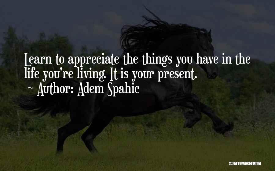 Appreciate The Beautiful Things In Life Quotes By Adem Spahic