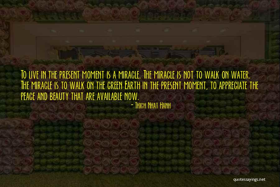 Appreciate The Present Moment Quotes By Thich Nhat Hanh